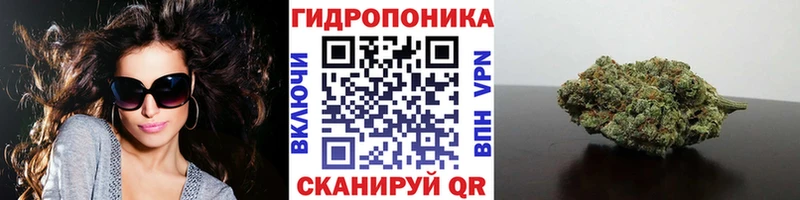 kraken   где купить наркотик  Кубинка  Каннабис ГИДРОПОН 